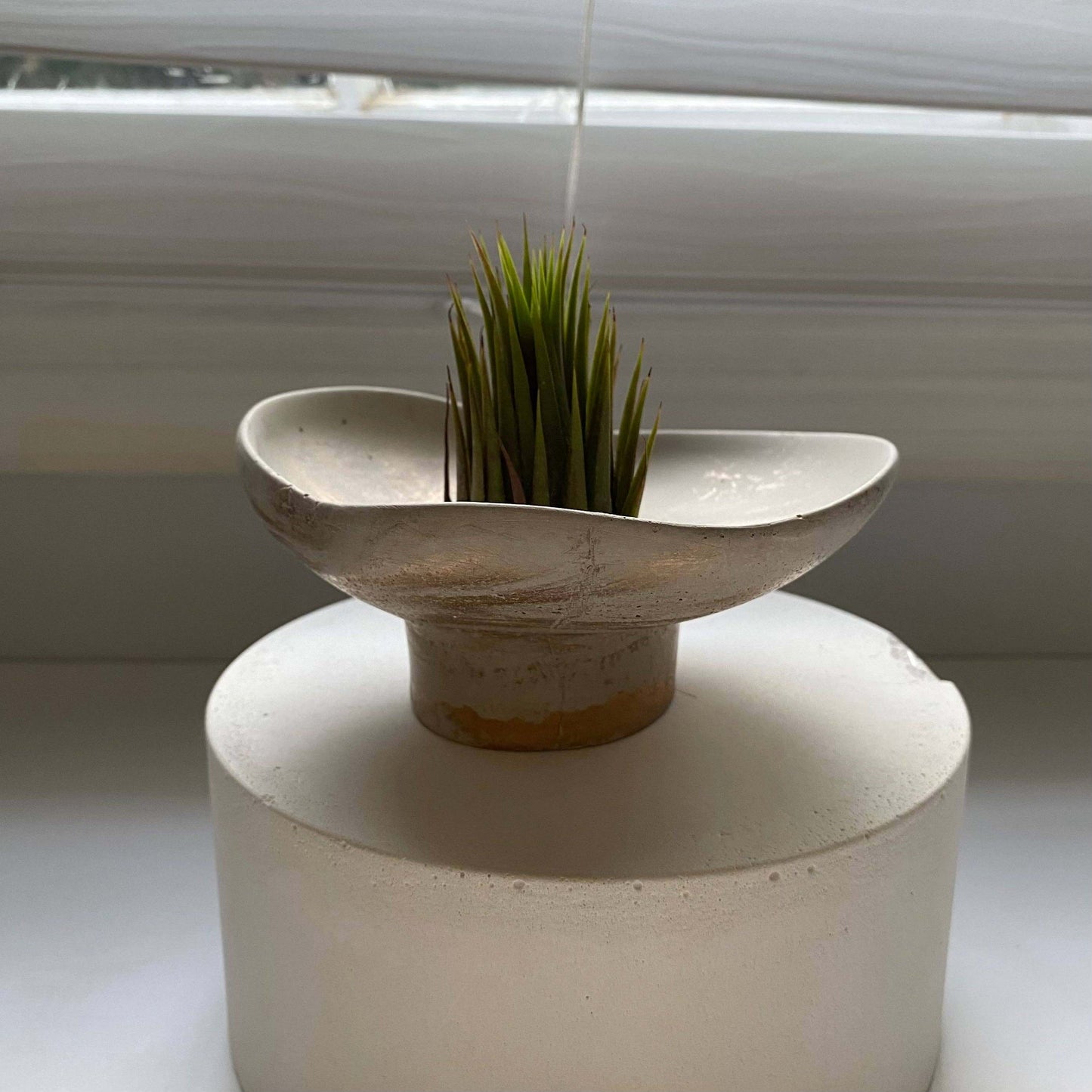 Irregular Concrete Bowl with Pedestal